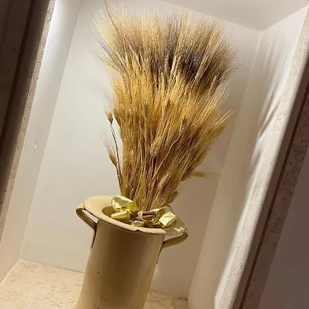 בית הארחה Don Gil Chic 4*